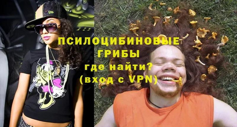 omg ТОР  Вуктыл  Галлюциногенные грибы Magic Shrooms 